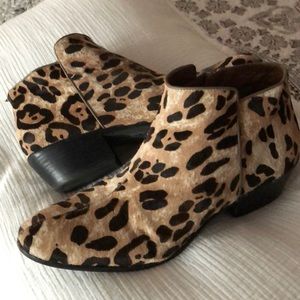 Sam Edelman Petty Leopard calf hair booties.  10